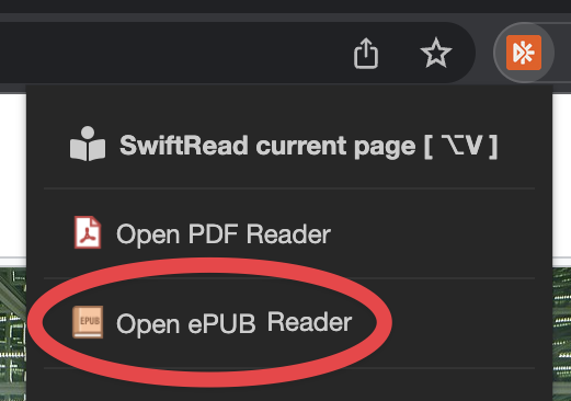 Click on 'Open ePUB Reaader'